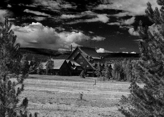 Yellowstone; National Park; Landscape; Lodge; Cabin; Cottage; Hunting; Hotel; Inn; Resort; Motel; Stay; House; Public House; Black; White; Cloud; Pine; Tree; Overcast; Christmas Tree; Grass; Lawn Greeting Card featuring the photograph The Lodge by D L McDowell-Hiss