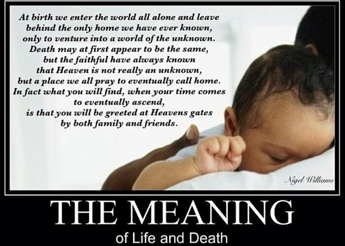Love Greeting Card featuring the photograph The Meaning Of Life and Death by Nigel Williams