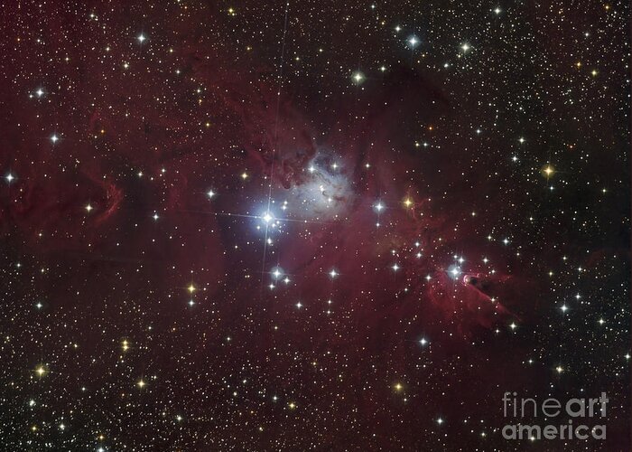 Cone Nebula Greeting Card featuring the photograph The Ngc 2264 Region Showing The Cone by Filipe Alves