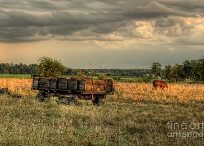Hay Wagon Greeting Card featuring the photograph The Old Hay Wagon by Pamela Baker