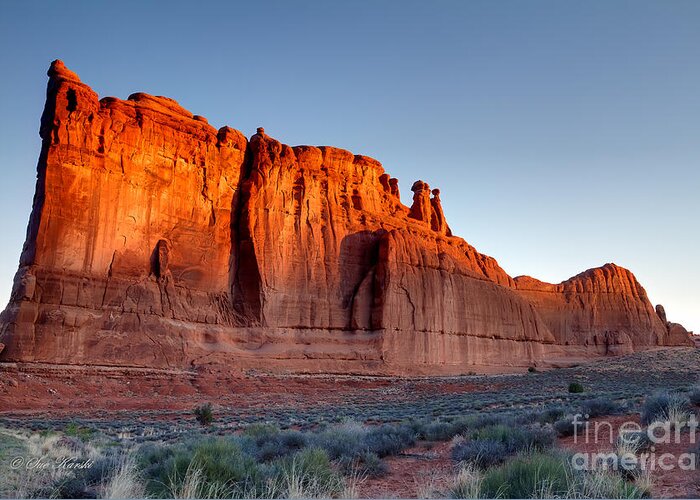 Arches National Park Greeting Card featuring the photograph The Organ Sideview by Sue Karski