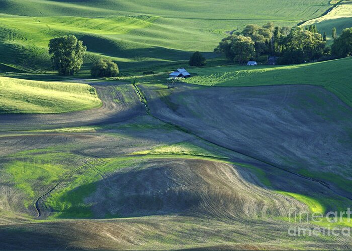 Palouse Greeting Card featuring the photograph The Palouse 3 by Bob Christopher