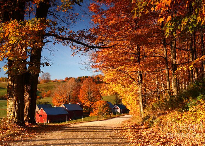 the Jenne Farm Greeting Card featuring the photograph The Road to the Jenne Farm by Butch Lombardi