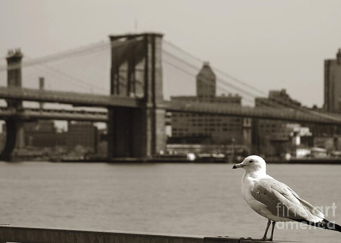 Newyork08 Greeting Card featuring the photograph The seagull of the Brooklyn Bridge by RicardMN Photography