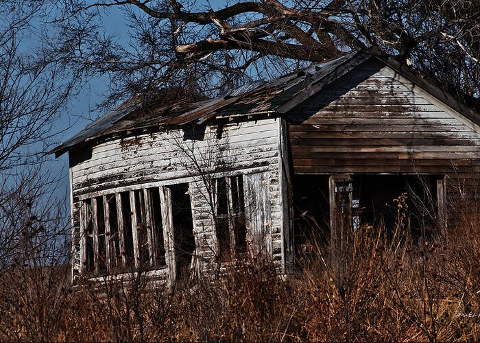 Barns Greeting Card featuring the photograph The Shed by Ed Peterson