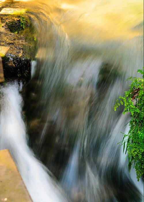 Stream Greeting Card featuring the photograph The stream by Michael Goyberg