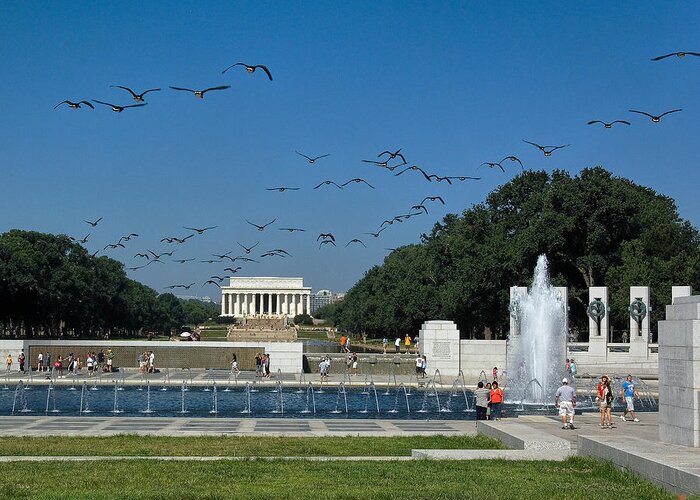 Scenic Greeting Card featuring the photograph The World War II Memorial--Geese Incoming DS029 by Gerry Gantt