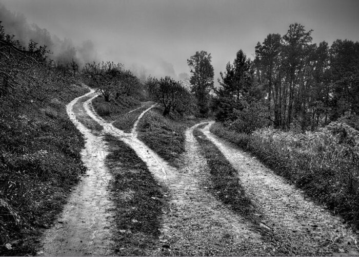 Blue Ridge Greeting Card featuring the photograph Three Paths Meet by T Cairns