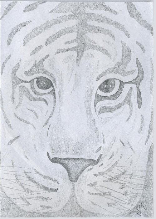 Tiger Greeting Card featuring the drawing Tiger Eyes by Justin Murdock