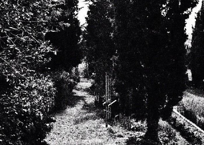 Italy Greeting Card featuring the photograph #trail #blackandwhite #tuscana #italia by Angela Breeden