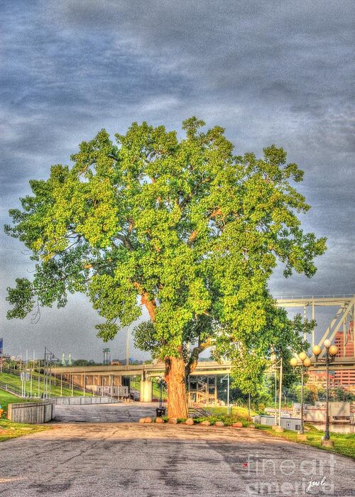 Tree Greeting Card featuring the photograph Tree at Newport on the Levee by Jeremy Lankford