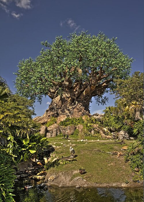 Disney Greeting Card featuring the photograph Tree Of Life HDR by Jason Blalock