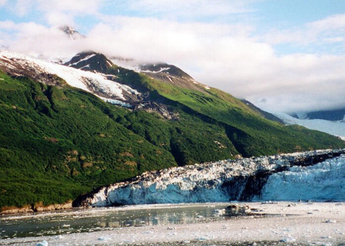 Seascapes Photographs Greeting Card featuring the photograph Trip to Glacier Bay by C Sitton