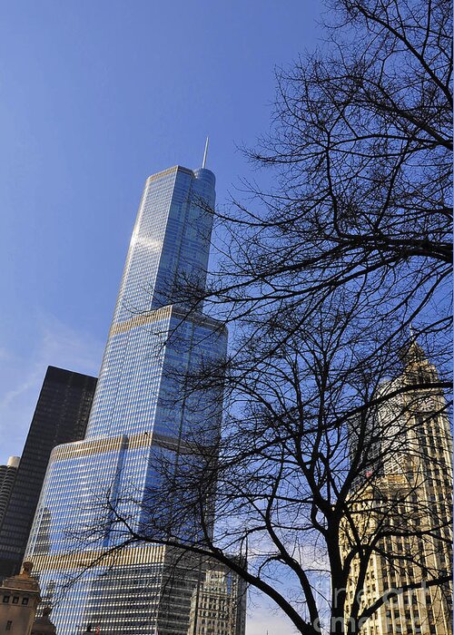 Trump Tower Greeting Card featuring the photograph Trough the branches by Dejan Jovanovic