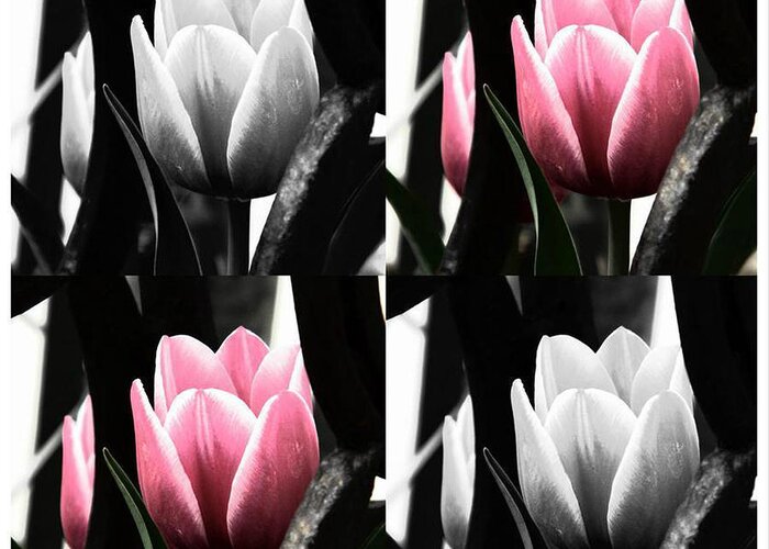 Tulip Greeting Card featuring the photograph Tulip Tiles by Michelle Frizzell-Thompson