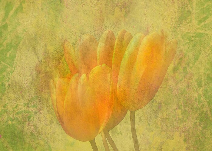 Tulip Time Digital Art by Grace Dillon