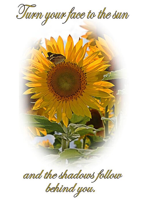 Turn Your Face To The Sun Greeting Card featuring the photograph Turn Your Face to the Sun by Kristin Elmquist