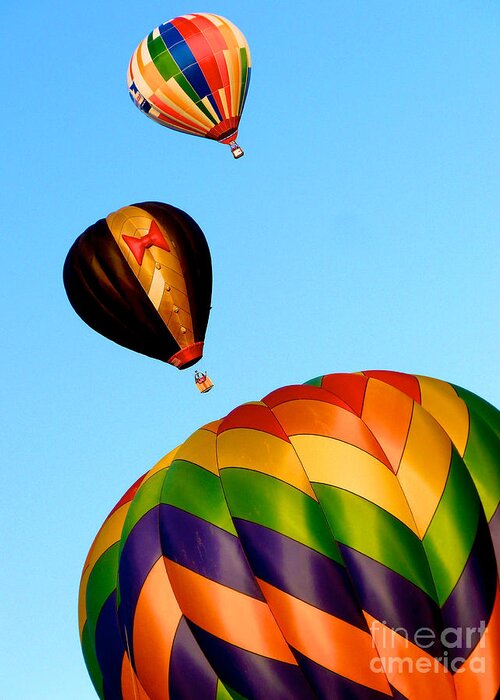  Hot Air Balloons Greeting Card featuring the photograph Up Up and Away by Mark Dodd
