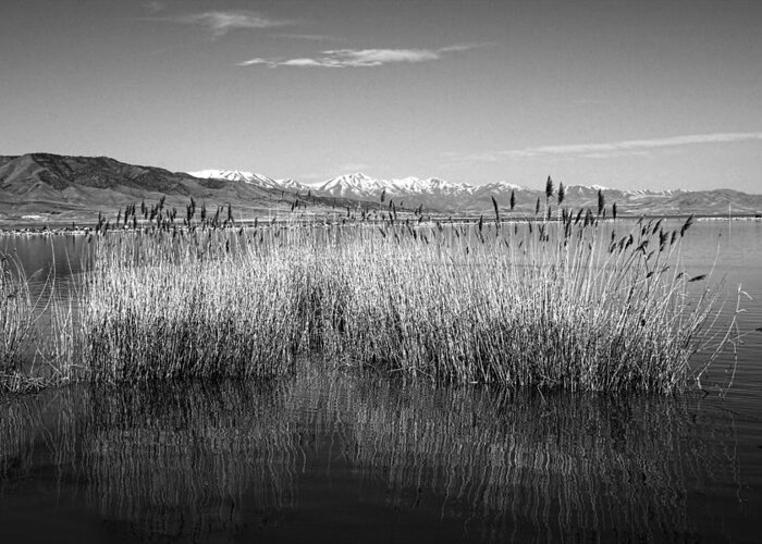 Utah Lake Greeting Card featuring the photograph Utah Lake And Wasatch Mountains by Tracie Schiebel