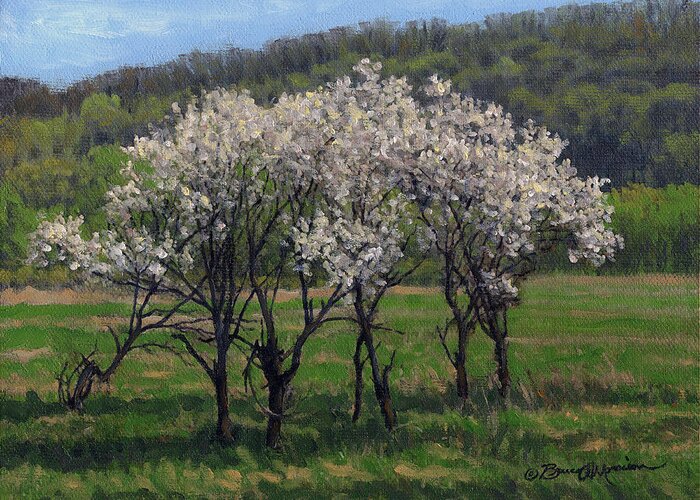 Landscape Greeting Card featuring the painting Valley Plum Thicket by Bruce Morrison