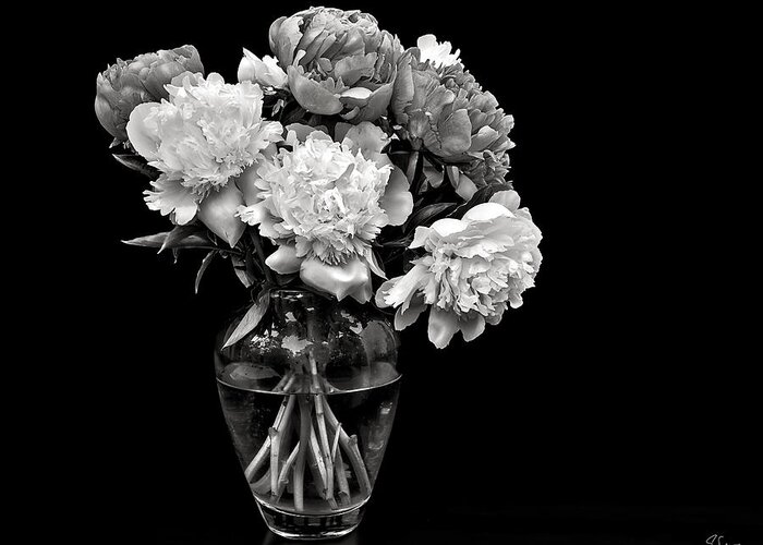 Flower Greeting Card featuring the photograph Vase of Peonies in Black and White by Endre Balogh