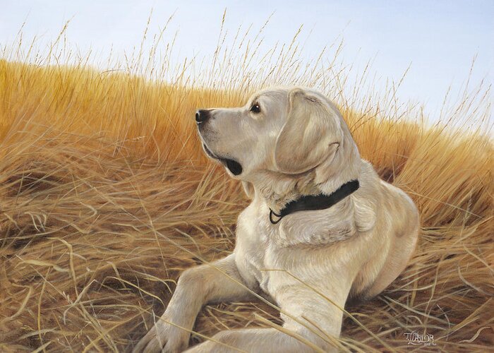 Yellow Lab Greeting Card featuring the painting Waiting For The Birds by Tammy Taylor