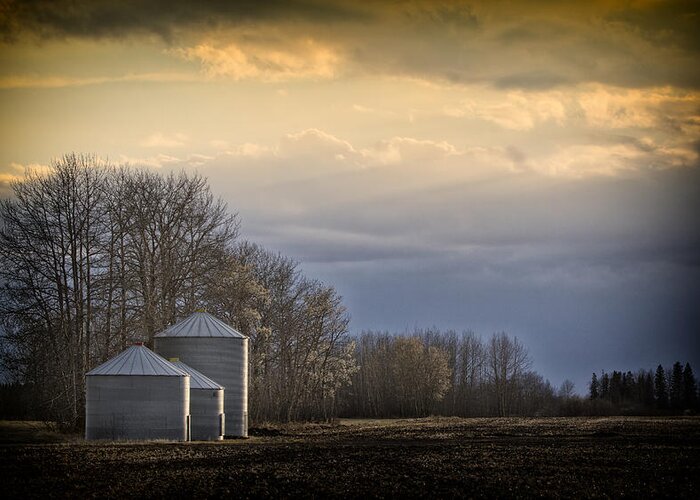 Farm Greeting Card featuring the photograph Waiting for the night to come.... by Russell Styles