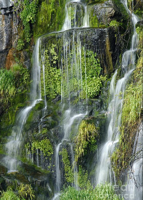 Waterfall Greeting Card featuring the photograph Waterfall at Columbia River Washington by Ted J Clutter and Photo Researchers