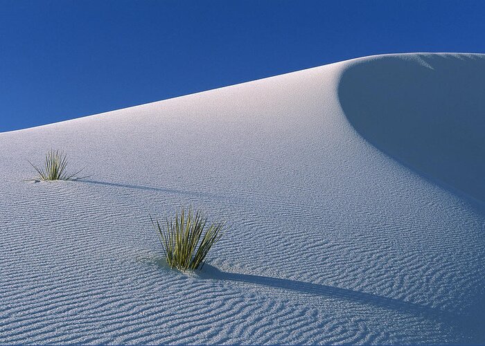 Mp Greeting Card featuring the photograph White Dunes In Gypsum Dune Field, White by Konrad Wothe