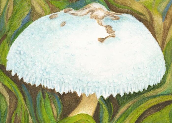 White Mushroom Greeting Card featuring the painting White Mushroom by Jeanne Juhos