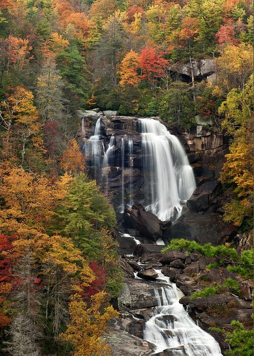 Autumn Greeting Card featuring the photograph Whitewater Falls 4 by Joye Ardyn Durham