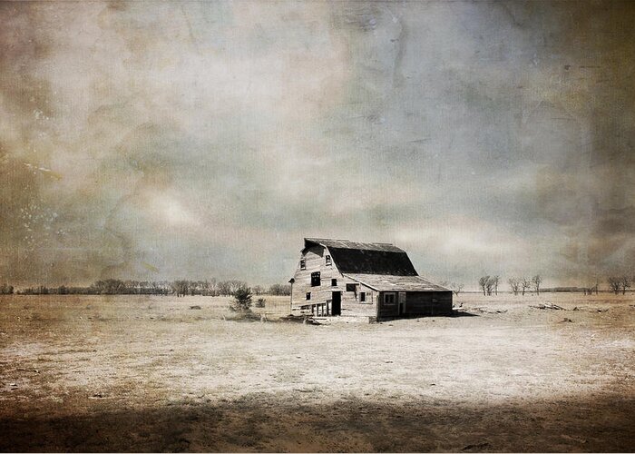Barn Greeting Card featuring the photograph Wide Open Spaces by Julie Hamilton