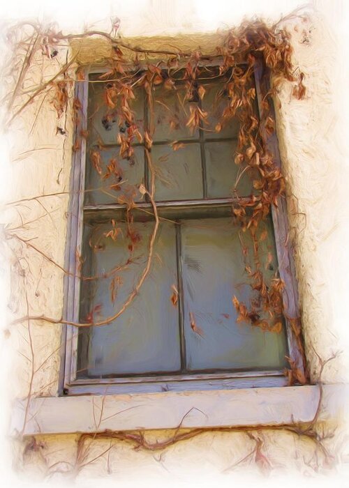 Windows Greeting Card featuring the photograph Window in Time by FeVa Fotos