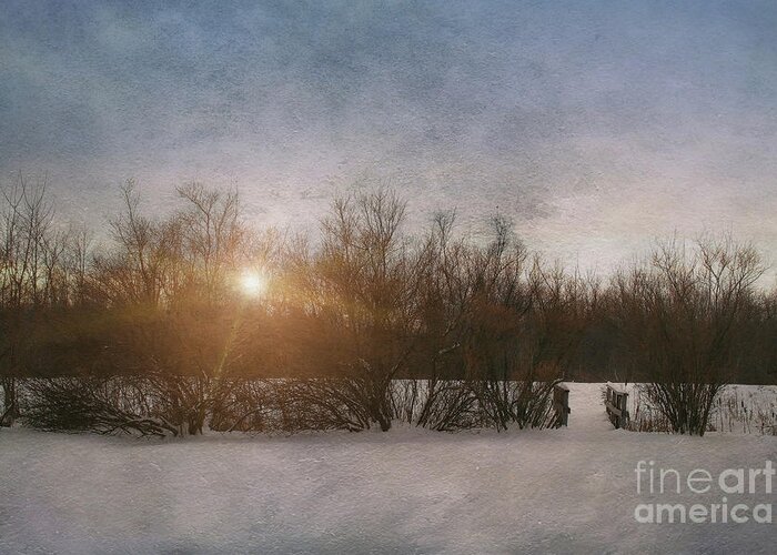 Alone Greeting Card featuring the photograph Winter landscape by Sandra Cunningham