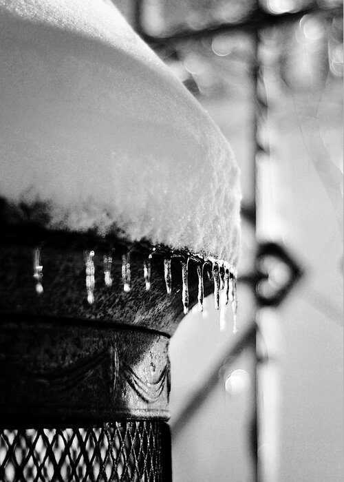 Icicles Greeting Card featuring the photograph Winter Love by Rebecca Sherman