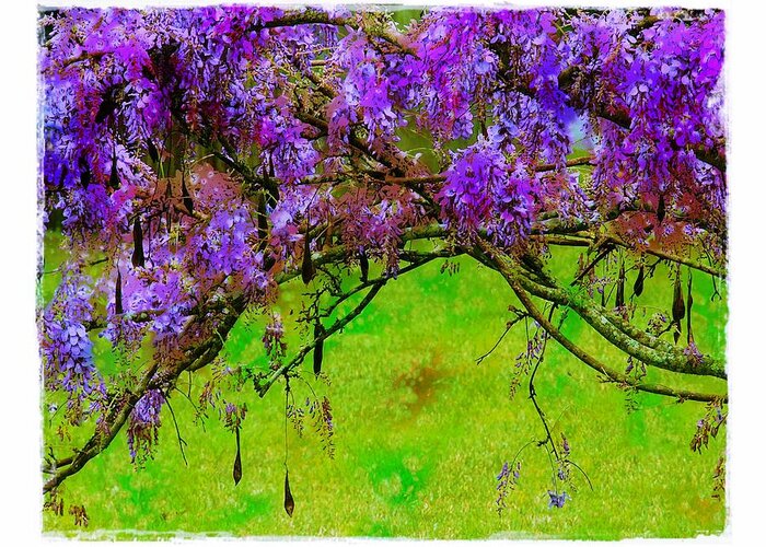 Wisteria Greeting Card featuring the photograph Wisteria Bower by Judi Bagwell