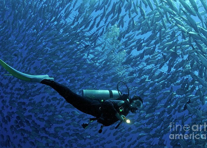 People Greeting Card featuring the photograph Woman diver surrounded by a school of Jackfish by Sami Sarkis