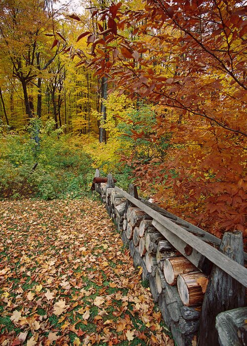 Wood Greeting Card featuring the photograph Wood Pile In Autumn by Ron Weathers