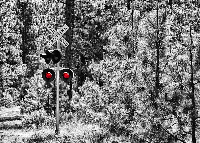 Railroad Sign Greeting Card featuring the photograph Woodland Crossing by Nick Kloepping