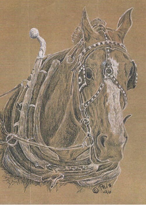 Horse Greeting Card featuring the drawing Workin' Hard by Pris Hardy