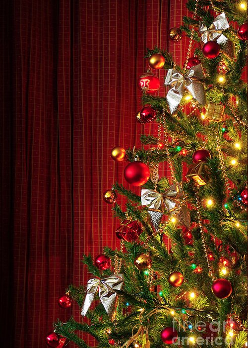 Artificial Greeting Card featuring the photograph Xmas tree on red by Carlos Caetano