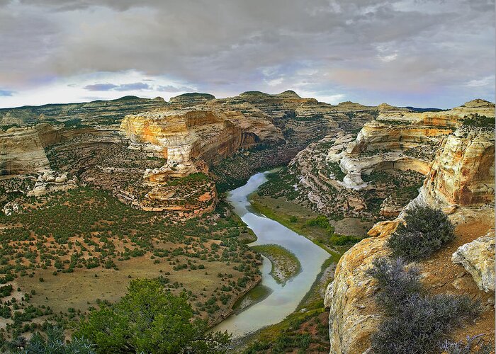 00176649 Greeting Card featuring the photograph Yampa River Flowing Through Canyons by Tim Fitzharris