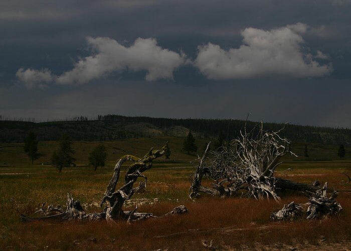 Yellowstone Greeting Card featuring the photograph Yellowstone National Park by Benjamin Dahl