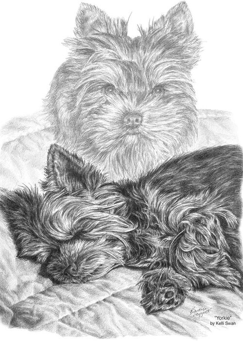 Yorkie Greeting Card featuring the drawing Yorkie - Yorkshire Terrier Dog Print by Kelli Swan