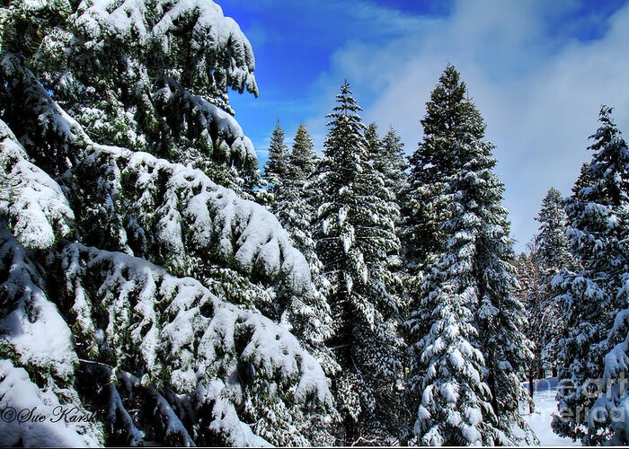 Snow Greeting Card featuring the photograph Yosemite Snow by Sue Karski