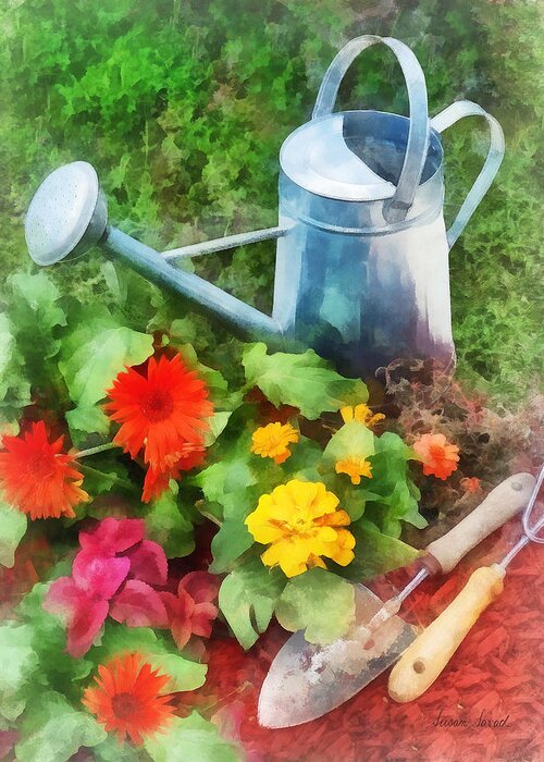 Zinnia Greeting Card featuring the photograph Zinnias and Watering Can by Susan Savad