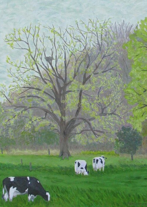 Holstein Cows Greeting Card featuring the painting All freshly steeped in morning dews by Barb Pennypacker