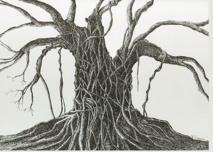 Tree Greeting Card featuring the drawing Patience by Rachel Bochnia