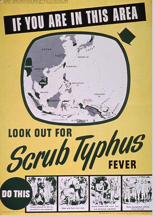 Medical Vintage Poster Greeting Card featuring the painting Scrub Typhus Fever by MotionAge Designs