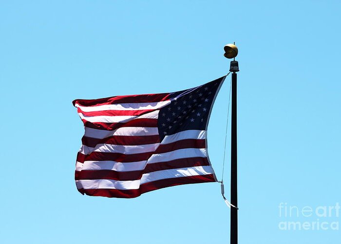 Flag Greeting Card featuring the photograph USA Flag by Henrik Lehnerer